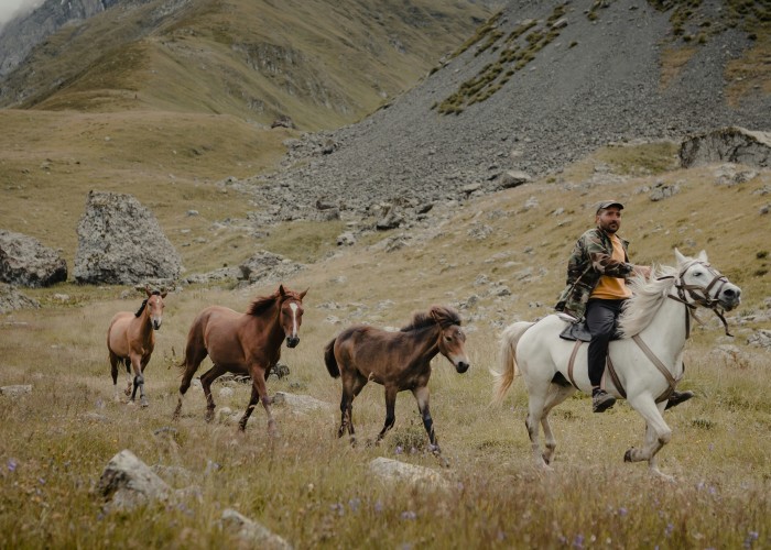 Horse Riding Tours in Switzerland’s Countryside