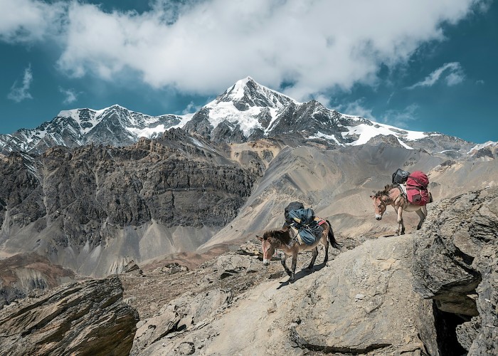 Switzerland Visa for Digital Nomads: New Trends in 2025