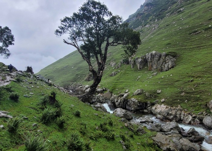 Hidden Trekking Gems & Emerging Routes: A Friendly Global Guide