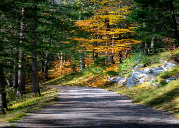 Best Autumn Color Viewing Spots in Europe