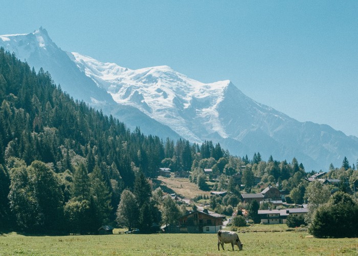 Mont Blanc Bovine Route – Champex to Mont Blanc: A Scenic Alta Alpine Trek