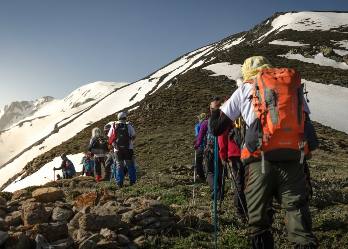 Guggershorn Summit Walk — Tour & Trek Guide