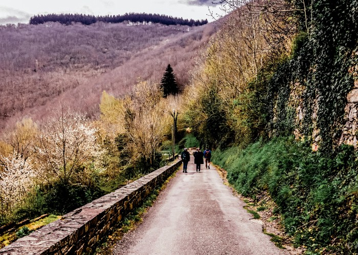 Sentiero Italia (Grand Italian Trail): The Ultimate Trekking Experience Across Italy