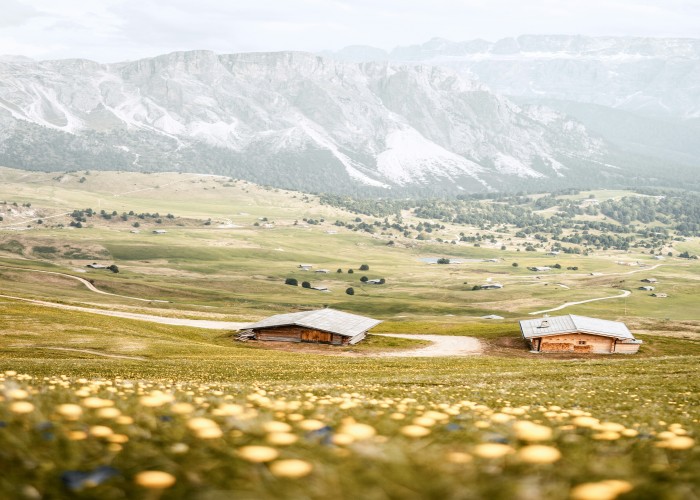 Summer 2025 Music Festivals in the Swiss Alps