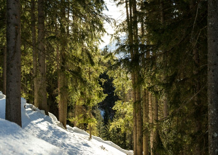 Eagle Walk Trek – Lechtal Alps, Austria