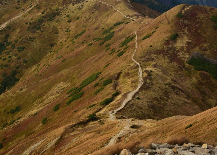 Ridge Trail, Tour & Trek: Complete Guide