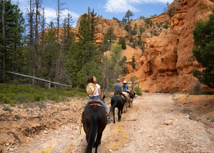 Menalon Trail Trek, Peloponnese — Your Complete Guide