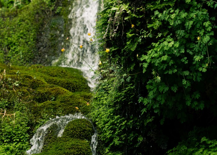 Limmer Mesa Rim Trail – UT, Tour & Trek