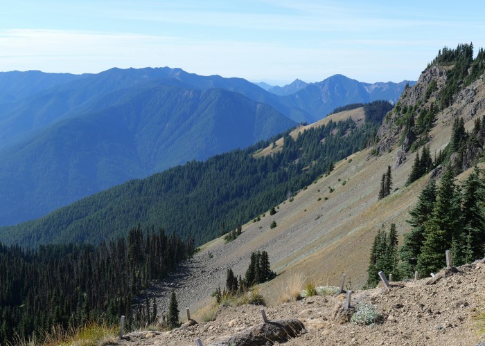 Olympic Hurricane Ridge Trail: Tour & Trek Guide