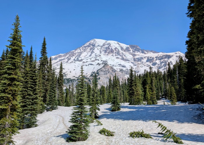 Mount Rainier Summit via Cascade Pass Trail, Tour & Trek