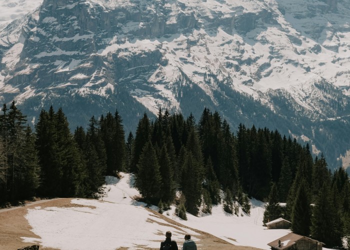 Wildlife Watching Tours in the Swiss Alps