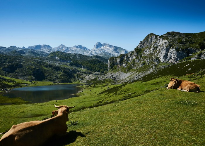Picos de Europa Vindios Loop Trek – Spain
