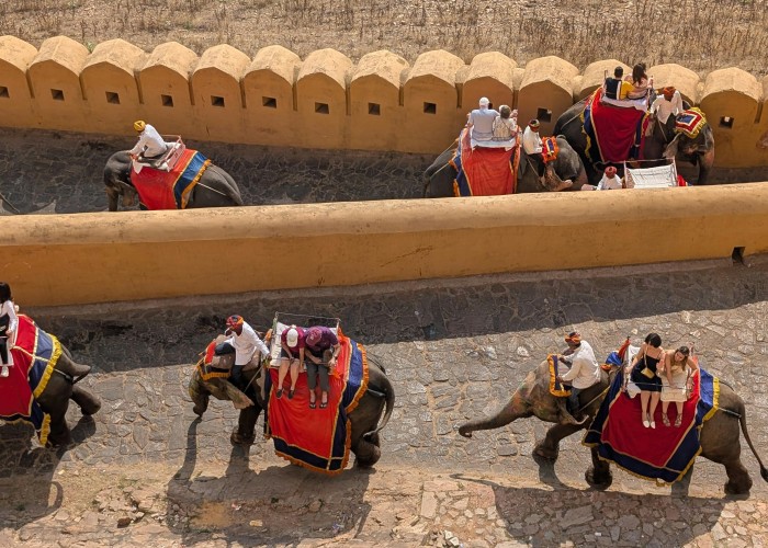 Popular Cultural & Heritage Tours in India, Tour & Trek