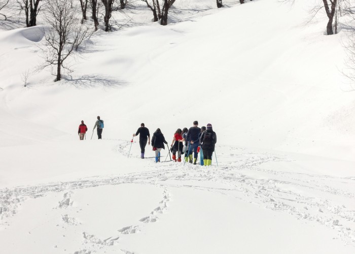 Hampta Pass Trek (Himachal Pradesh), Tour & Trek – Complete Guide