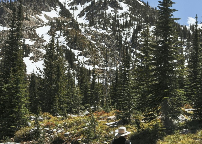 Cyprus Troodos Ridge Walk Trek: Complete Guide for Adventurers