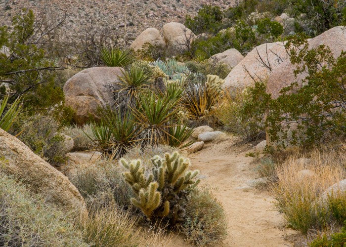 Aravaipa Canyon Trail – AZ, Tour & Trek
