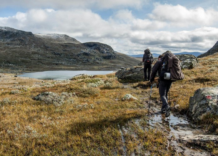 Bhrigu Lake Trek (Manali), Tour & Trek Guide
