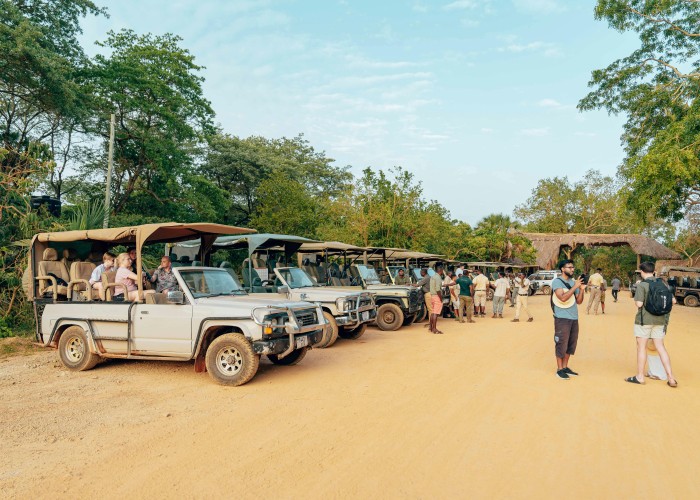 Tadoba National Park Safari (Maharashtra), Tour & Trek