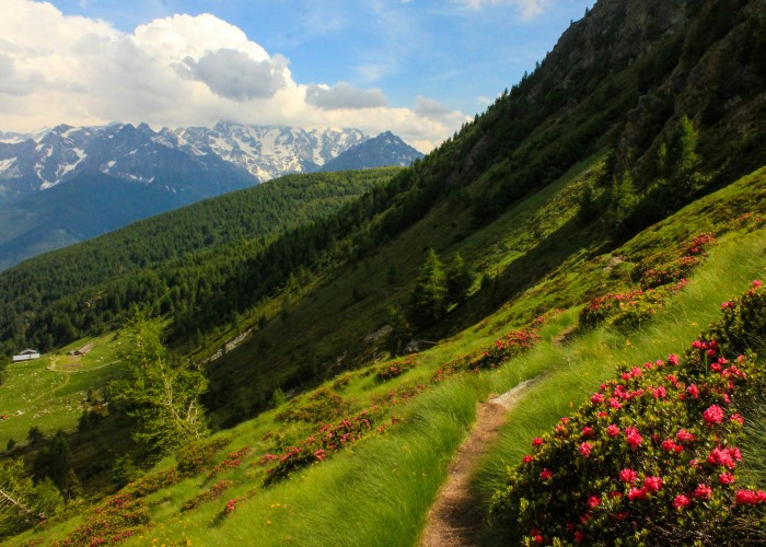 Amalfi Path of the Gods – Day Hikes in Italy