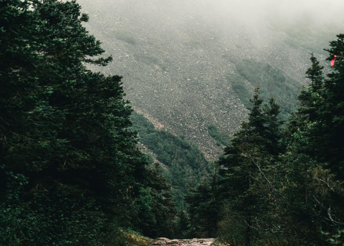 Long Trail (Vermont Green Mountains), Tour & Trek