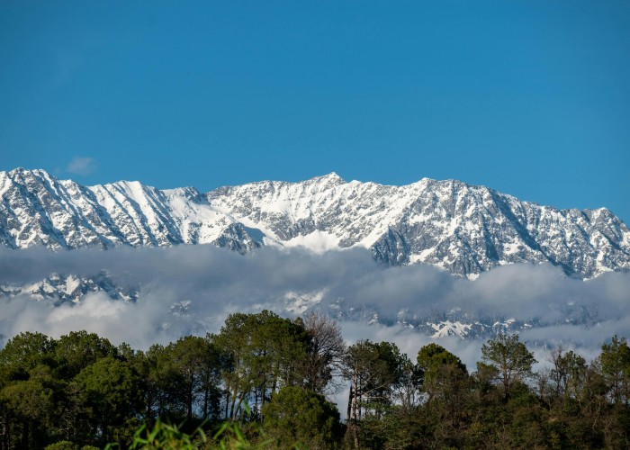 Triund Trek (Dharamshala), Tour & Trek