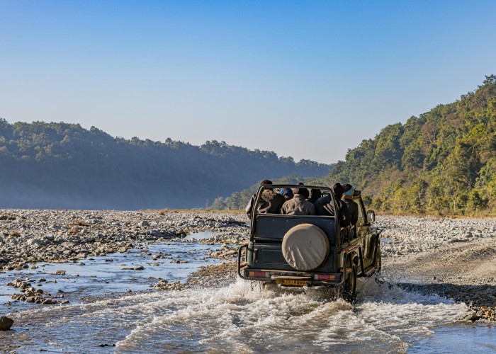 Jim Corbett Safari: Complete Guide