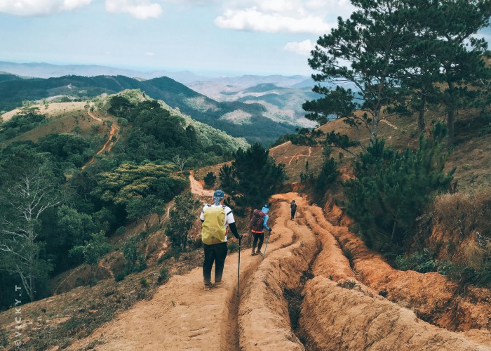 Tahoe Rim Trail (CA/NV), Tour & Trek – Complete Guide