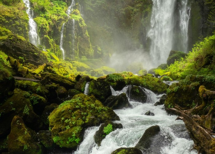 Amazon Rainforest Travel Guide