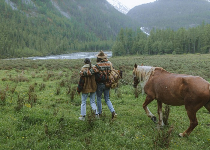 Dude Ranch Horseback Tours, Tour & Trek: A Complete Guide