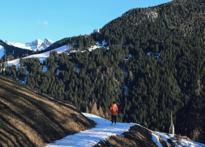Schynige Platte to First Ridge Walk — Scenic High-Ridge Trek Above Lauterbrunnen Valley, Tour & Trek