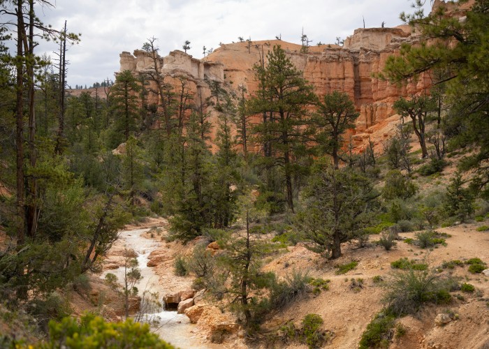 Navajo Loop & Queen’s Garden, Bryce Canyon UT: Tour & Trek Guide