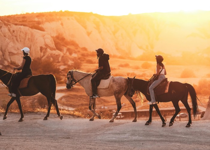 High-End Safari Experiences in Africa