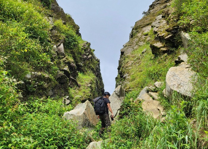 Hornbill Festival Tour (Nagaland): Complete Guide for Travelers