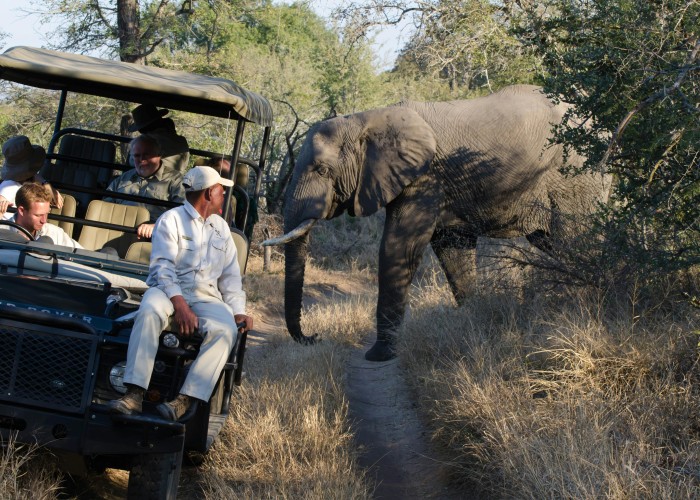 Sikkim Mahananda Wildlife Train Safari, Tour & Trek