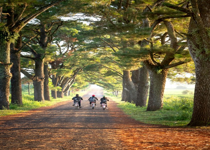 Travel & Health Insurance Combo Packages