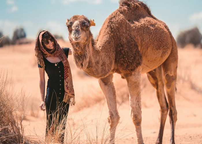 Luxury Wildlife Safari Experiences in Africa