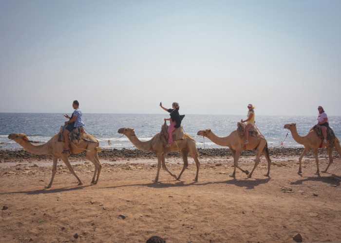 Pushkar Camel Fair Experience: Complete Tour and Trek Guide