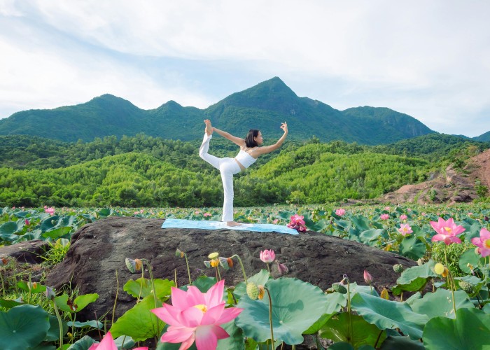 Yoga, Wellness & Ayurveda Retreats, Tour & Trek