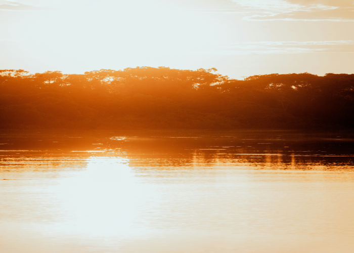 Kakadu Yellow Water Billabong Sunrise Walk – Tour & Trek
