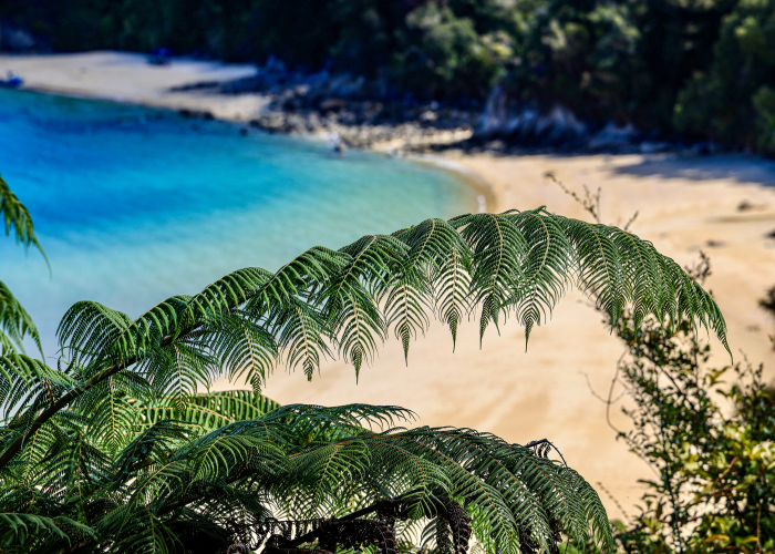 Fraser Island Coastal Rainforest + Lake Walk QLD: Tour & Trek