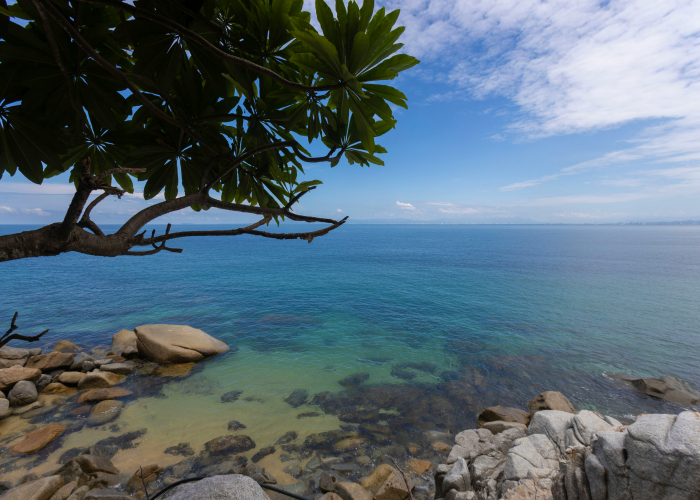 Ningaloo Reef Eco-Sailing + Shore Hiker: Tour & Trek Guide