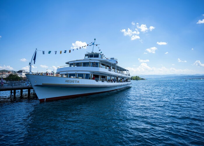 The Ultimate Guide to Insurance for Expensive Luxury Cruises