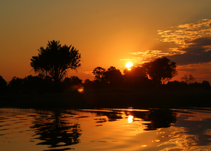 Kakadu Yellow Water Sunrise Billabong Walk NT: Tour & Trek Guide