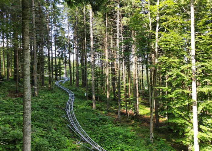 European Long Trails Crossing Germany (E1 Route) on Westweg, Tour & Trek