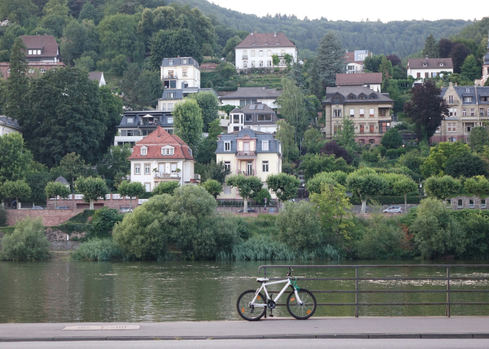 Rhein-Radweg Cycling & Walking Sections, Tour & Trek