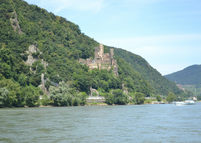 Rhine Valley Walking Tours with Castles, Tour & Trek