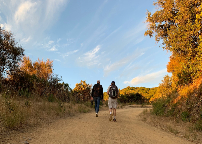 Noosa National Park Coastal Walk, QLD – Tour & Trek Guide