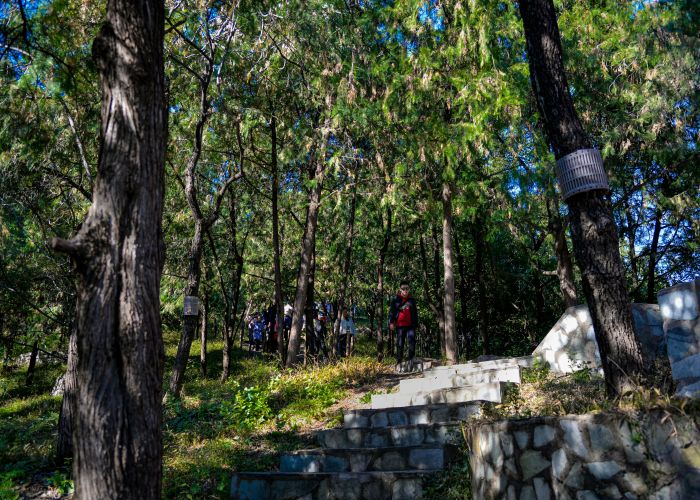 Spessart Forest Hikes & Sculpture Trails – Tour & Trek Guide