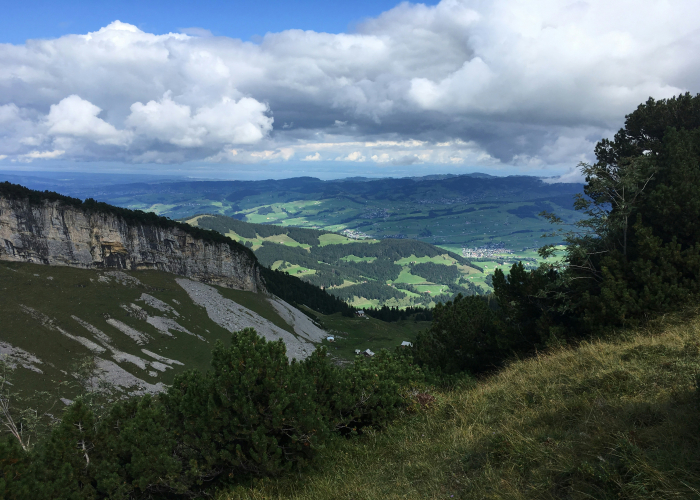 Nibelungensteig (Odenwald, ~130 km): Tour & Trek Guide [2026]