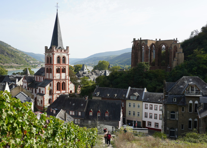 Eifelsteig (Aachen to Trier, 312 km): Tour & Trek Guide [2026]